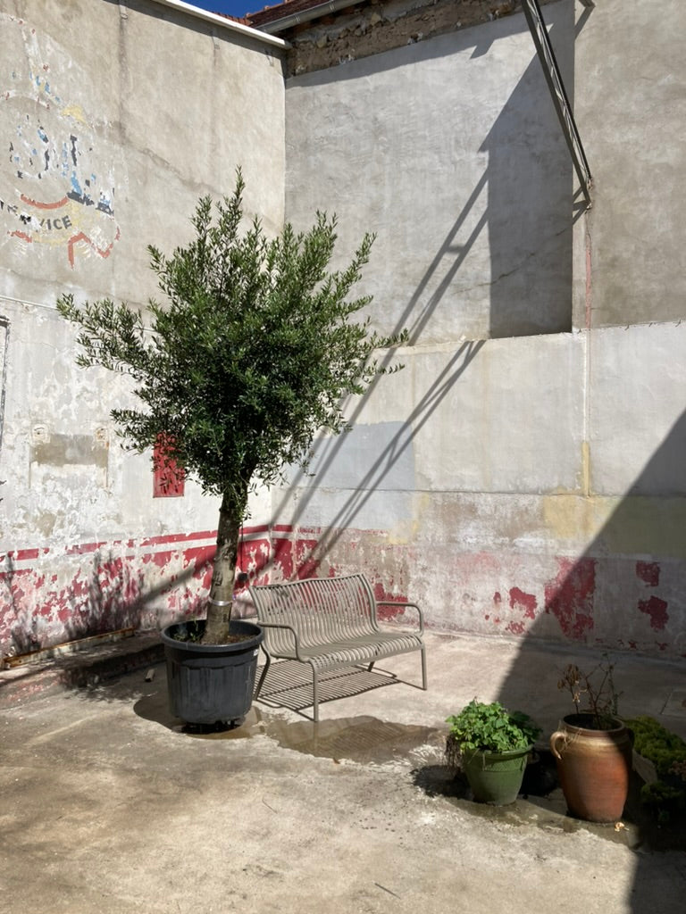 ATELIER DANS ANCIEN GARAGE DANS l'YONNE